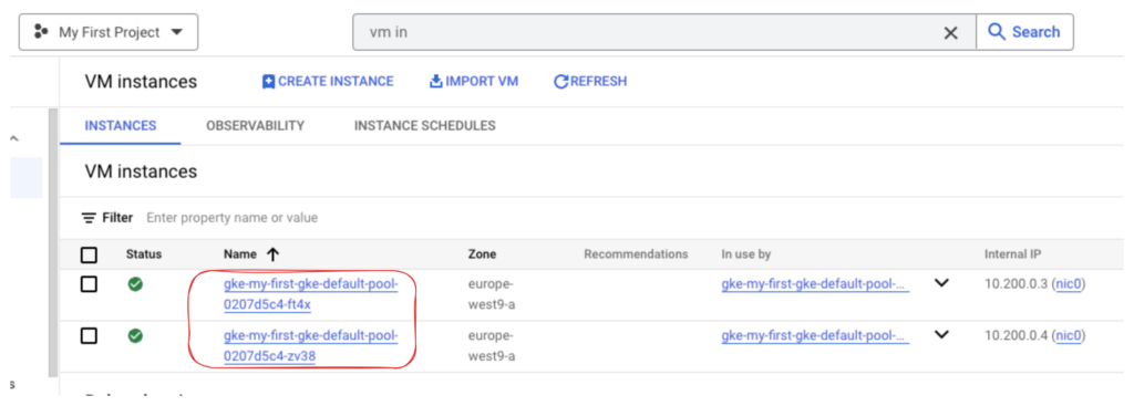 GKE VM Instances 